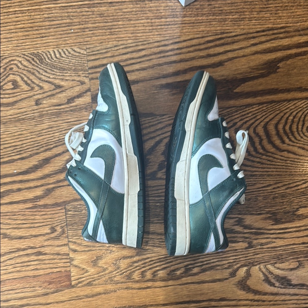 women’s Nike dunks